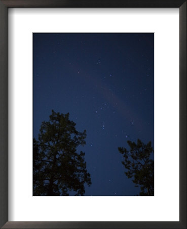 The Constellation Orion At Night by Taylor S. Kennedy Pricing Limited Edition Print image