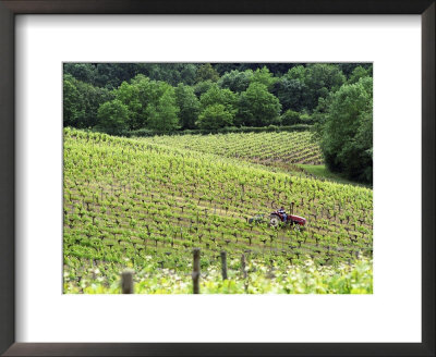 Vineyard Tractor In Vines At Chateau Soucherie Of Pierre-Yves Tijou, Maine Et Loire, France by Per Karlsson Pricing Limited Edition Print image