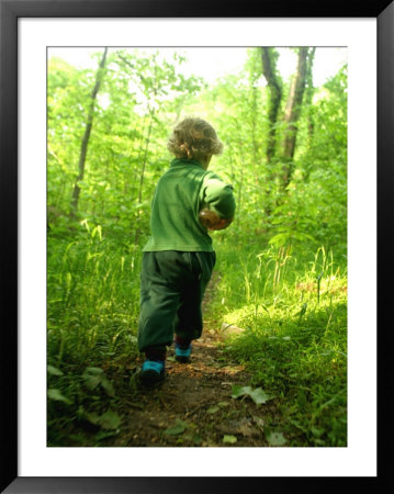 Little Boy With A Jar On A Trail In The Woods by Skip Brown Pricing Limited Edition Print image