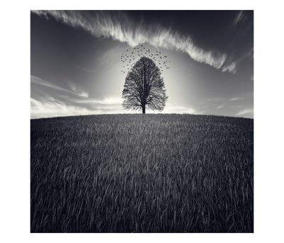 Se Va La Vida by Luis Beltran Pricing Limited Edition Print image