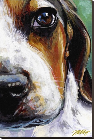 Dog Eyed by Jared Kelley Pricing Limited Edition Print image