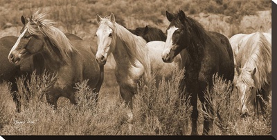 Pasture Pals Sepia by Barry Hart Pricing Limited Edition Print image