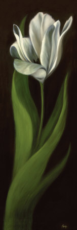 White Tulips Ii by Pamela Papas Pricing Limited Edition Print image