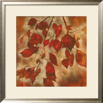 Organic Harmony I by Randy Hibberd Pricing Limited Edition Print image
