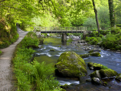 Spring Woodland, River, Bridge And Path, Watersmeet, Exmoor Np, Devon, Uk by Adam Burton Pricing Limited Edition Print image