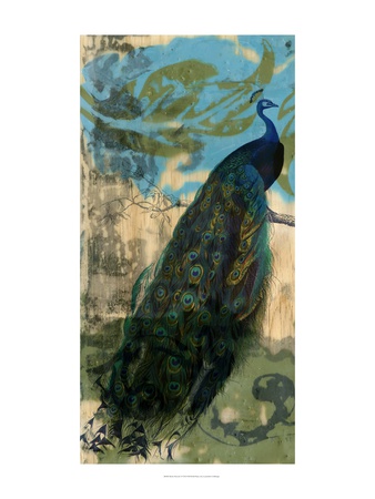 Rustic Peacock I by Jennifer Goldberger Pricing Limited Edition Print image