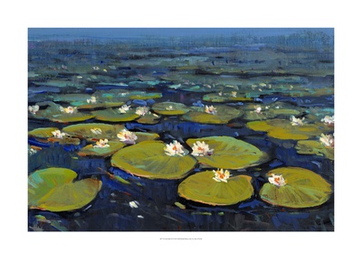 Lily Pads Ii by Tim O'toole Pricing Limited Edition Print image