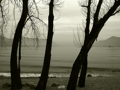 Misty Evening In Lago Maggiore, Italy, In Sepia by Ilona Wellmann Pricing Limited Edition Print image