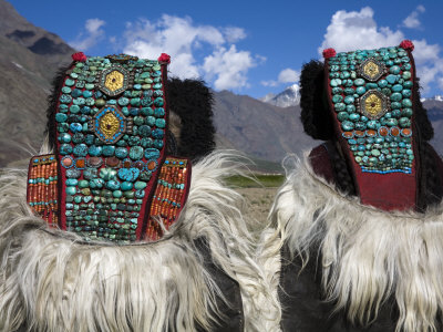 Local Women Wearing Ladakhi Headdresses Covered With Turqoise by Steve Winter Pricing Limited Edition Print image