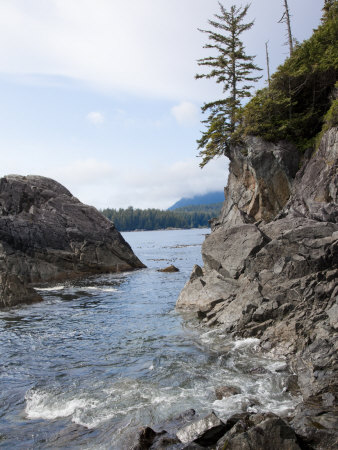 Rocky Shoreline Of Vancouver Island by Taylor S. Kennedy Pricing Limited Edition Print image
