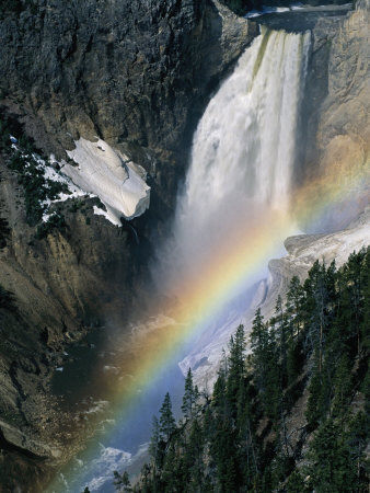 Yellowstone River Tumbles 308 Feet At Lower Falls by Tom Murphy Pricing Limited Edition Print image