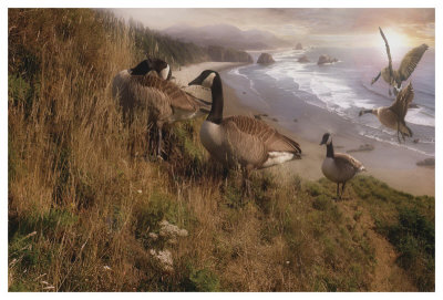 Golden Geese by Steve Hunziker Pricing Limited Edition Print image
