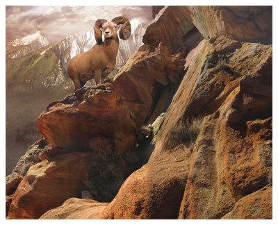 Rocky Bighorn by Steve Hunziker Pricing Limited Edition Print image