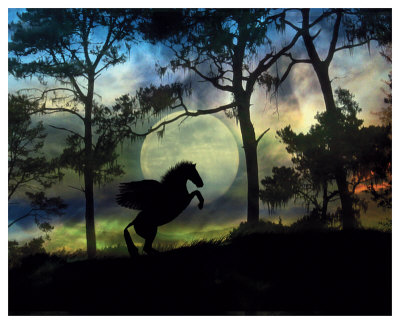 Pegasus Moon by Stephanie Laird Pricing Limited Edition Print image