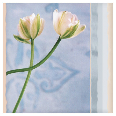 Tulip And Blue Tapestry Ii by Richard Sutton Pricing Limited Edition Print image