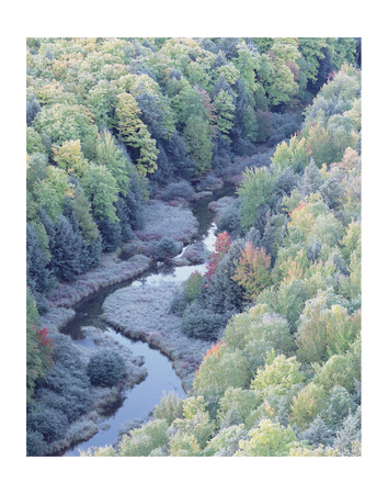 Lake Of Clouds Frosted Trees by Danny Burk Pricing Limited Edition Print image