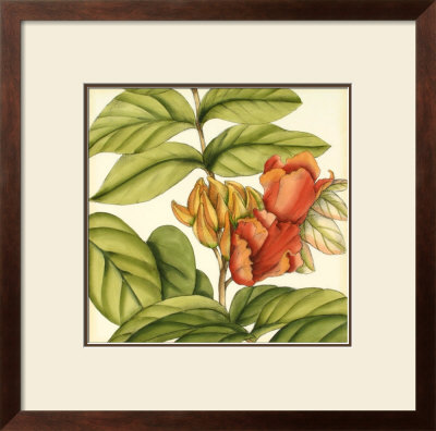 Tropical Blooms And Foliage Iii by Jennifer Goldberger Pricing Limited Edition Print image