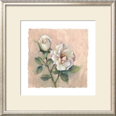 Rose Delight by Paul Mathenia Pricing Limited Edition Print image