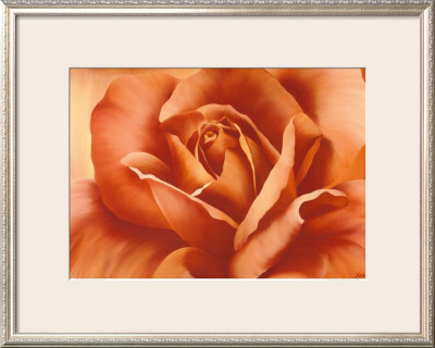 Full In Bloom I by Yvonne Poelstra Holzhaus Pricing Limited Edition Print image