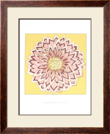 Brilliant Blossom I by Chariklia Zarris Pricing Limited Edition Print image