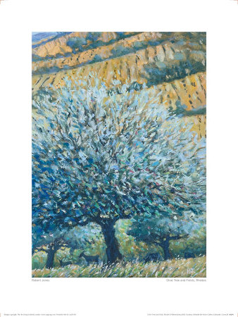 Olive Tree And Fields, Rhodes by Robert Jones Pricing Limited Edition Print image