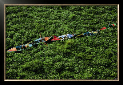 Barques Prises Dans Les Jacinthes D'eau Sur Le Nil, Egypte by Yann Arthus-Bertrand Pricing Limited Edition Print image