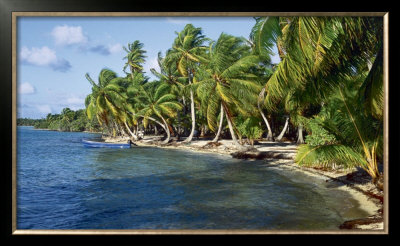 Tropical Breeze by Beverly Factor Pricing Limited Edition Print image