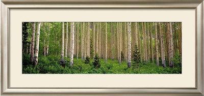 Site 43 by Susan Drinker Pricing Limited Edition Print image