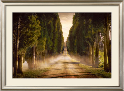 Cypress Lined Road Ii, Siena Tuscany by Jimmy Williams Pricing Limited Edition Print image