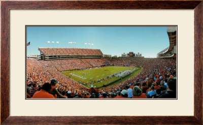 Auburn Tigers by Dan Johnson Pricing Limited Edition Print image