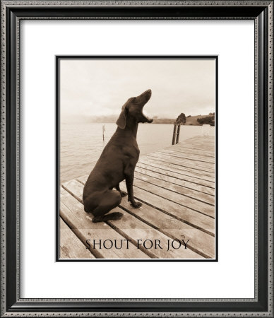 Shout For Joy by Jim Dratfield Pricing Limited Edition Print image