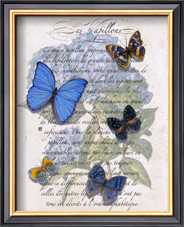 Hydrangea Butterflies I by Ginny Joyner Pricing Limited Edition Print image
