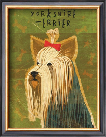 Yorkshire Terrier by John Golden Pricing Limited Edition Print image