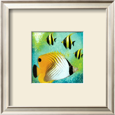 Fish A Go Go Ii by Jenny Morton Pricing Limited Edition Print image