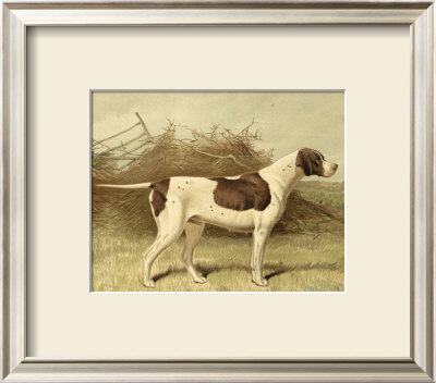 Pointer by Vero Shaw Pricing Limited Edition Print image