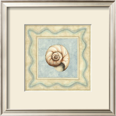 Shell Collector Ii by Meagher Pricing Limited Edition Print image
