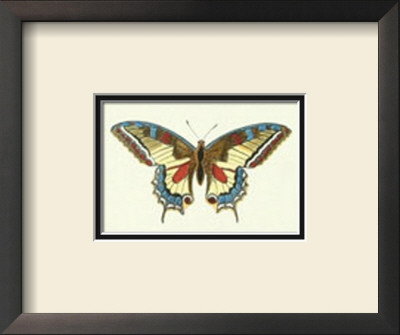Profile Of A Butterfly Iii by George Shaw Pricing Limited Edition Print image