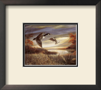 Migration South by Ruane Manning Pricing Limited Edition Print image