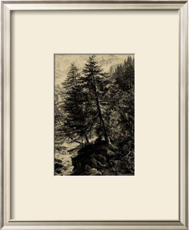 Larch Tree by Ernst Heyn Pricing Limited Edition Print image