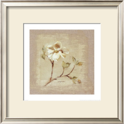 Dogwood Square by Cheri Blum Pricing Limited Edition Print image