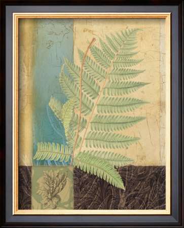 Fern Life I by Benny Diaz Pricing Limited Edition Print image