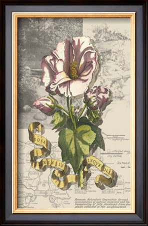 Garden In June Iii by Deborah Bookman Pricing Limited Edition Print image