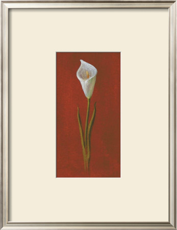 White Cala Lily by Jose Gomez Pricing Limited Edition Print image