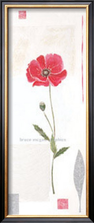 Cotton Poppy by Catherine Denolly Pricing Limited Edition Print image