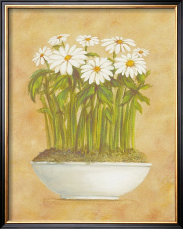 White Daisies by Cuca Garcia Pricing Limited Edition Print image