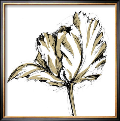 Tulip Sketch Iii by Ethan Harper Pricing Limited Edition Print image