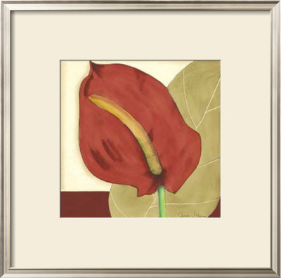 Anthurium Elegance Ii by Jennifer Goldberger Pricing Limited Edition Print image