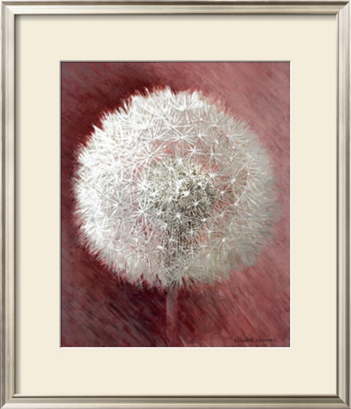 Dandelion Clock I by Elisabeth Verdonck Pricing Limited Edition Print image