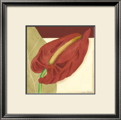 Anthurium Elegance Iii by Jennifer Goldberger Pricing Limited Edition Print image