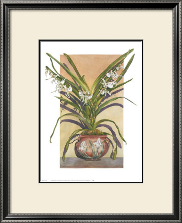 Arts And Crafts Orchids, Angraecum Supurbum by Sally Robertson Pricing Limited Edition Print image